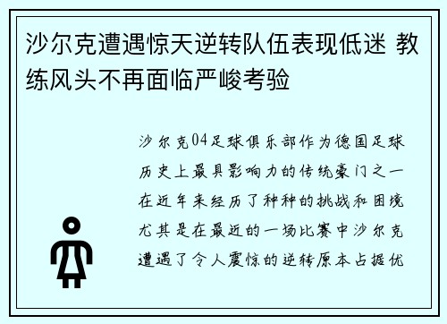沙尔克遭遇惊天逆转队伍表现低迷 教练风头不再面临严峻考验